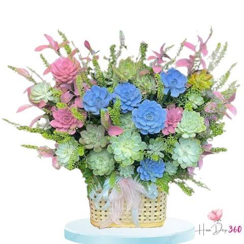 Lẵng Hoa Chúc Mừng Đẹp, Sang Cho Mọi Sự Kiện