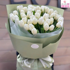 Giải Mã Các Màu Hoa Tulip Và Thông Điệp Trong Mỗi Bó Hoa