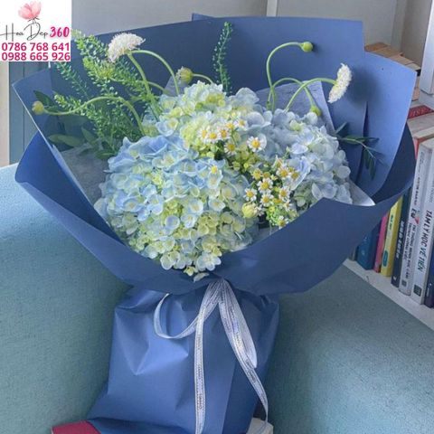 Ý Nghĩa Của Hoa Cẩm Tú Cầu Theo Màu Sắc Và Dịp Tặng