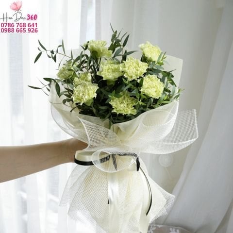 Ý Nghĩa Hoa Cẩm Chướng Theo Màu Sắc Và Dịp Tặng Phù Hợp