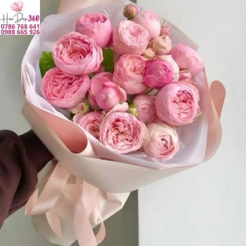 Ý Nghĩa Hoa Mao Lương Vẻ Đẹp Dịu Dàng Và Cuốn Hút Khi Làm Quà