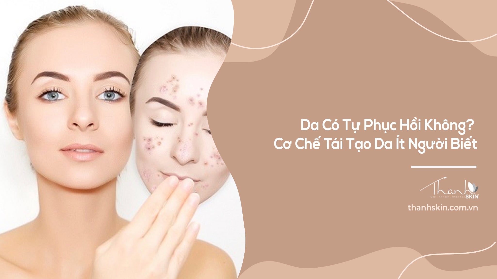 Da Có Tự Phục Hồi Không? Cơ Chế Tái Tạo Da Ít Người Biết
