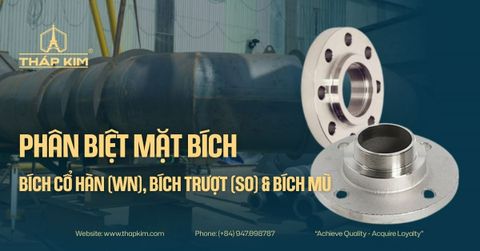 Các Loại Mặt Bích Tiêu Chuẩn: Phân Biệt Bích Cổ Hàn (WN), Bích Trượt (SO) & Bích Mù