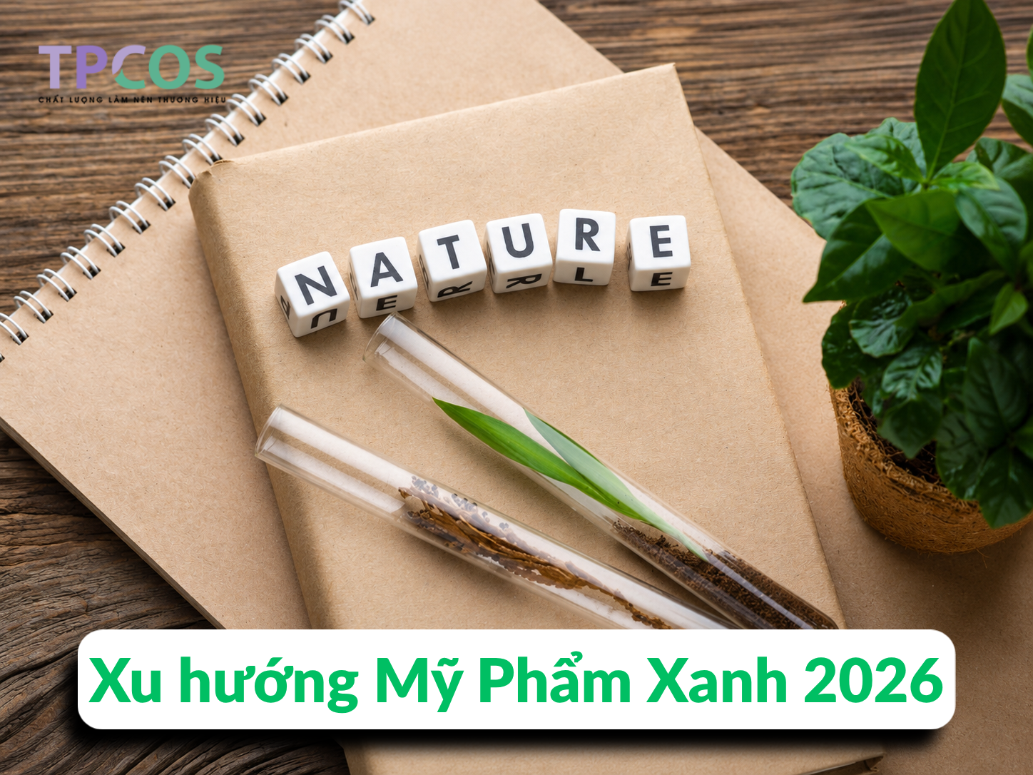 Xu hướng Mỹ Phẩm Xanh 2026: Cuộc Cách Mạng Bền Vững và Tương Lai Ngành Làm Đẹp