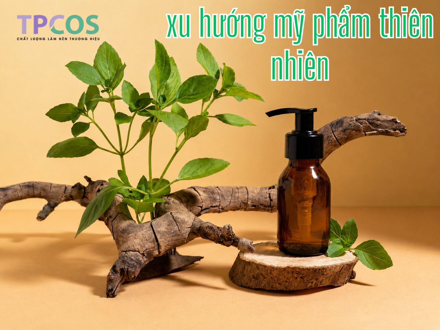 Mỹ phẩm thiên nhiên – Xu hướng tất yếu và cơ hội bứt phá cho các thương hiệu làm đẹp