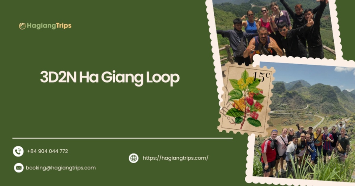 3D2N Ha Giang Loop: Ultimate 3-day adventure in Northern Vietnam
