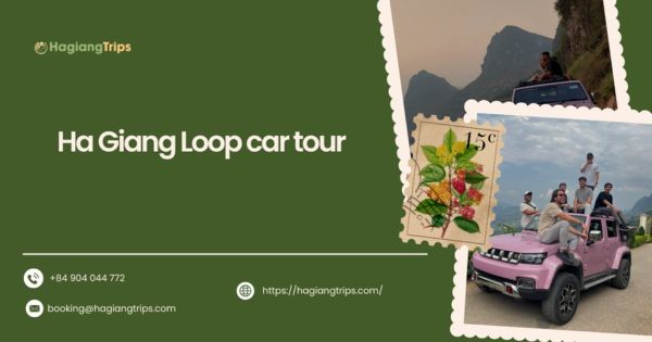 Ha Giang Loop car tour: The best way to explore Ha Giang’s iconic route