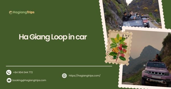 Ha Giang Loop in car: Smart tips, itinerary guide and top providers