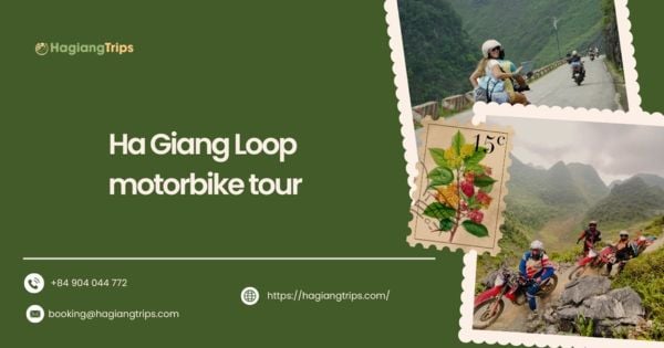 Ha Giang Loop motorbike tour: Must-see stops and expert tips