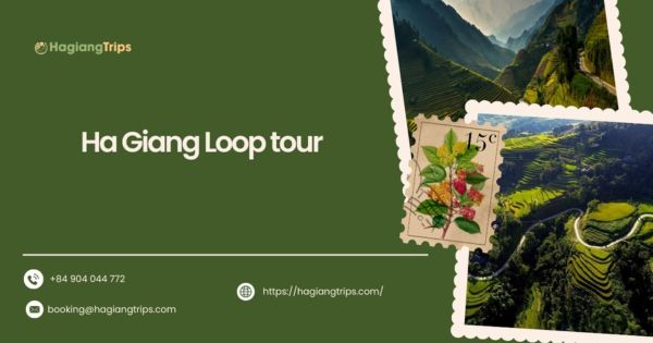 Ha Giang Loop tour: Ultimate guide to timing, cost and options