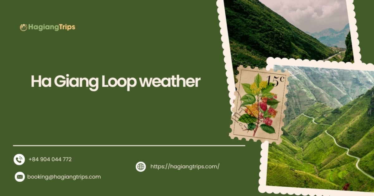 Ha Giang Loop weather: Best seasons, packing tips and travel guide