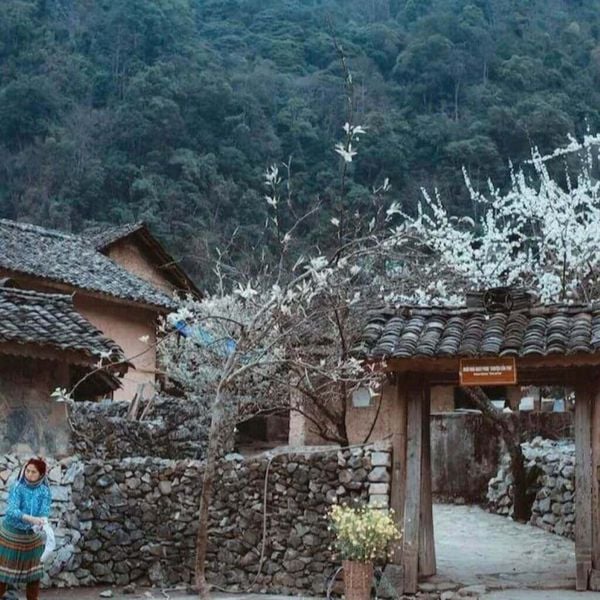 Top 5 Must-See Sights on the Ha Giang Loop