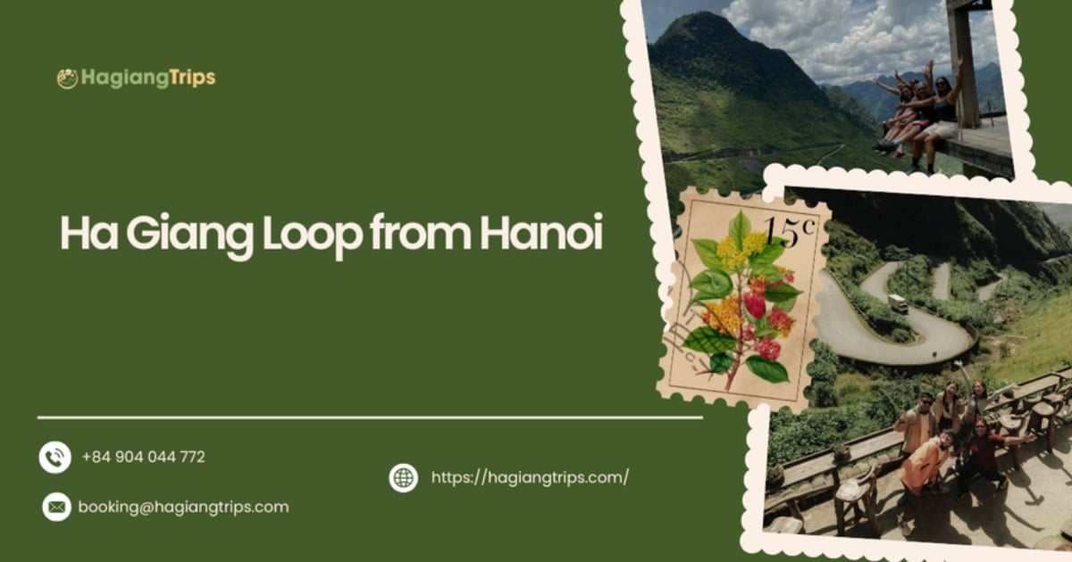Ha Giang Loop from Hanoi: Top tours, scenic views and travel essentials