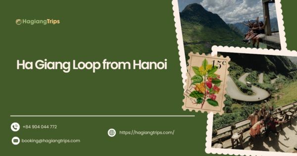 Ha Giang Loop from Hanoi: Top tours, scenic views and travel essentials