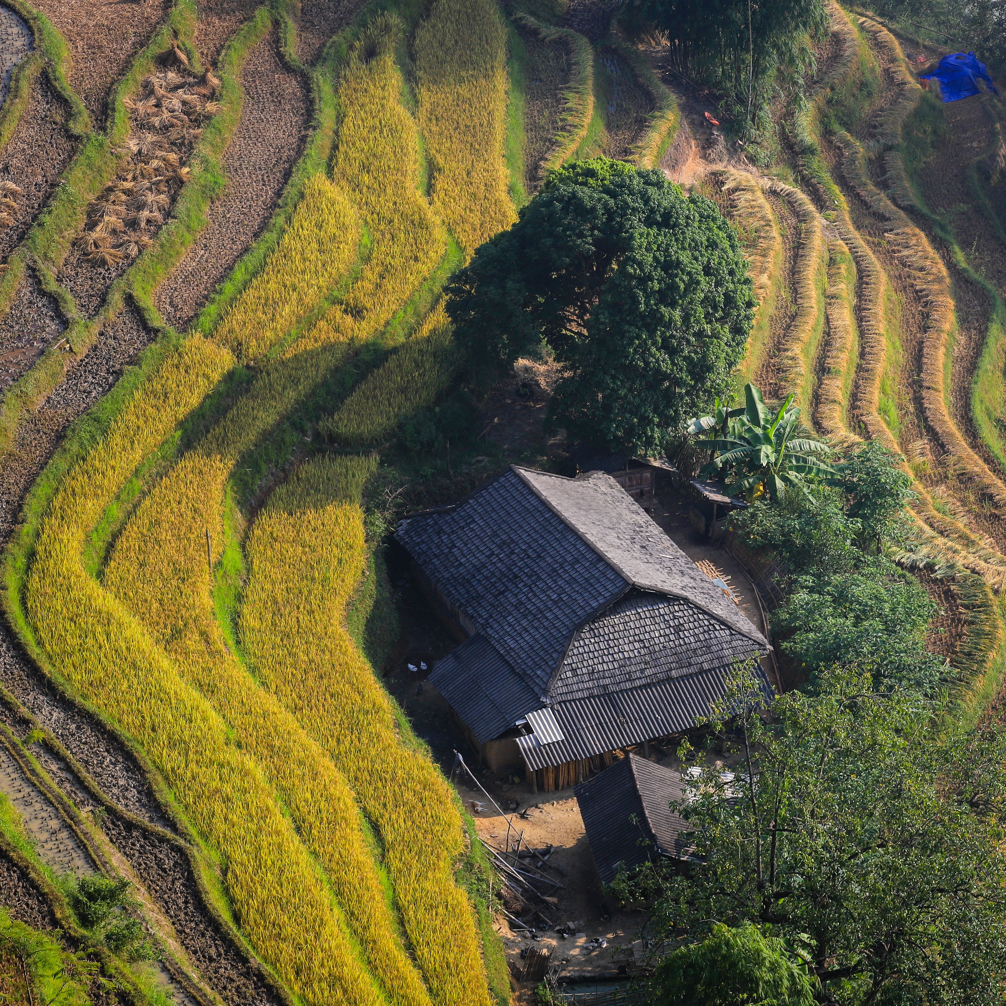 Ha Giang Loop 2D2N group tour — cover photo | HagiangTrips