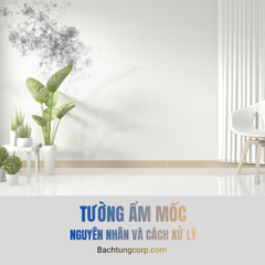 Tường bị ẩm mốc ở Đà Lạt: Nguyên nhân và cách xử lý đúng