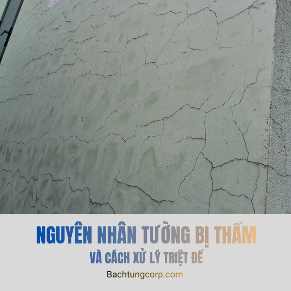 Top 5 nguyên nhân khiến tường nhà bị thấm dột mùa mưa & Cách xử lý dứt điểm