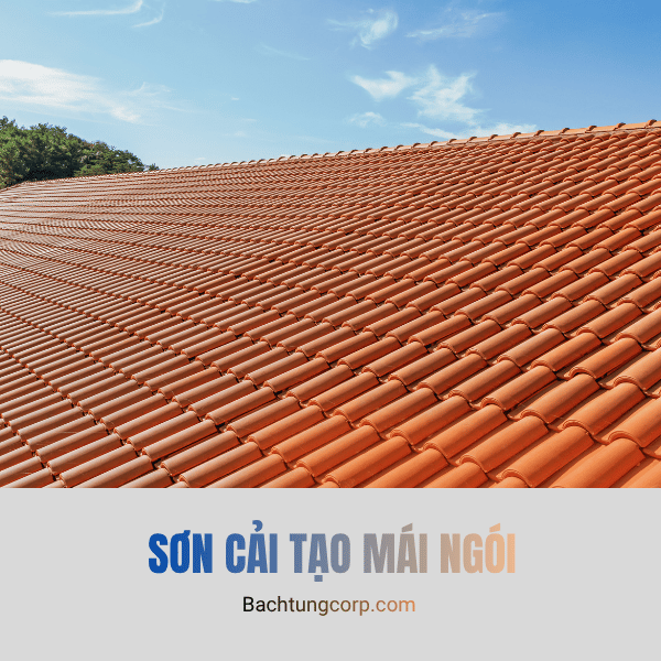 Dịch Vụ Sơn Cải Tạo Mái Ngói Tại Đà Lạt Mới Nhất 2026