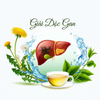 5 Loại Nước Thảo Mộc Hỗ Trợ Giải Độc Gan Theo Y Học Cổ Truyền