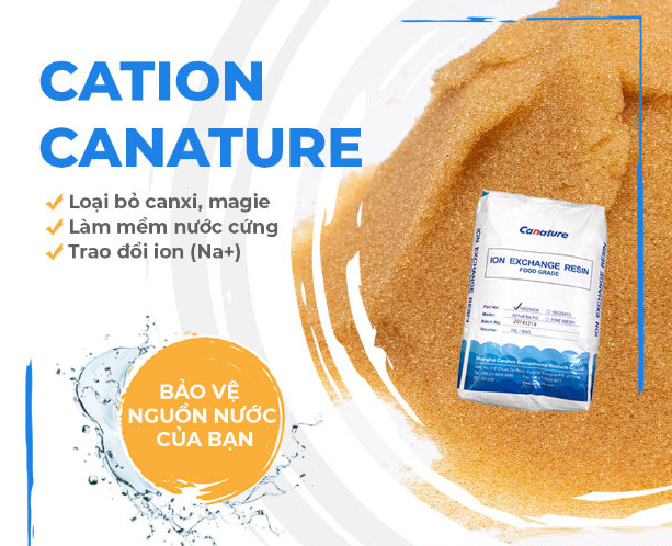 HƯỚNG DẪN HOÀN NGUYÊN HẠT CATION HIỆU QUẢ