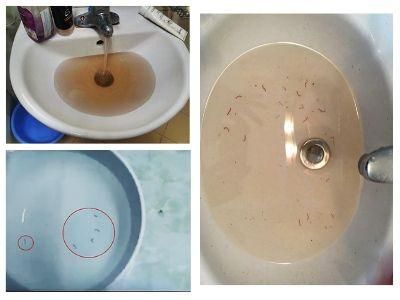 Dấu hiệu nhận biết nguồn nước gia đình đang bị ô nhiễm