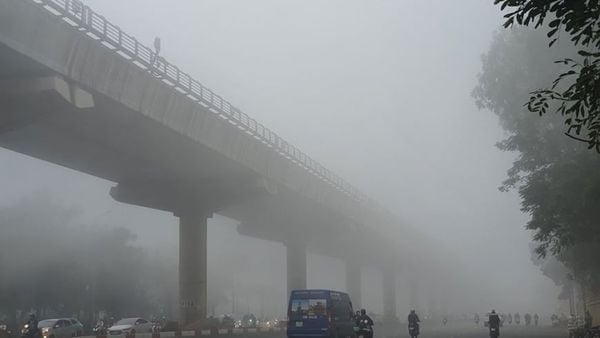 Biến đổi Khí hậu và Nắng nóng Cực đoan: Thử thách năm 2025-2026