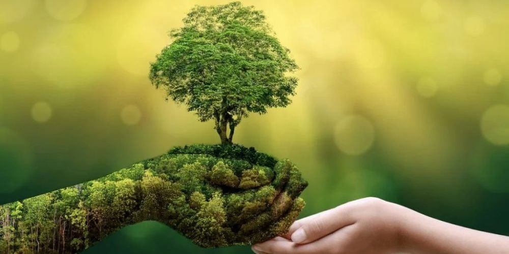 Sống xanh là gì? Những xu hướng sống xanh nổi bật năm 2025