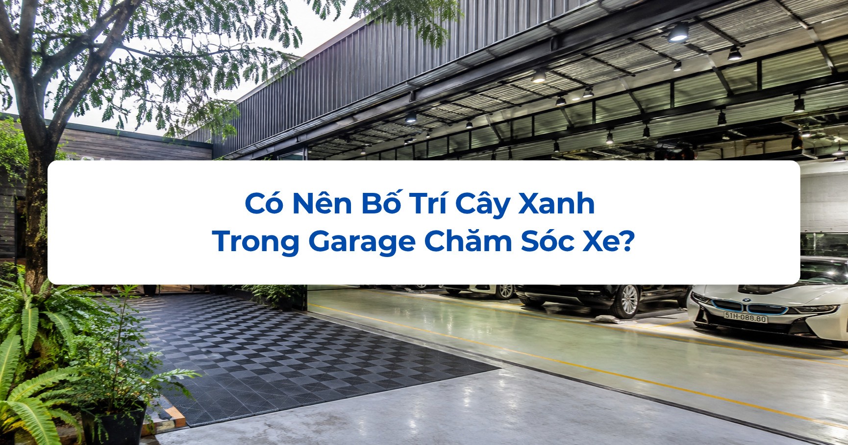 Có Nên Bố Trí Cây Xanh Trong Garage Chăm Sóc Xe?