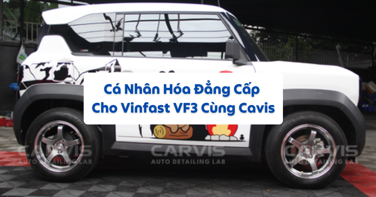 Cá Nhân Hóa Đẳng Cấp Cho Vinfast VF3 Cùng SGCB Việt Nam