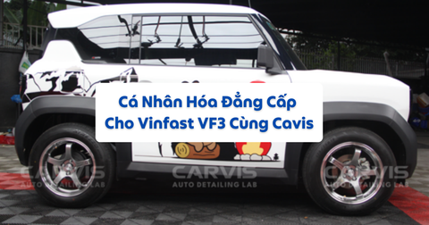 Cá Nhân Hóa Đẳng Cấp Cho Vinfast VF3 Cùng Cavis