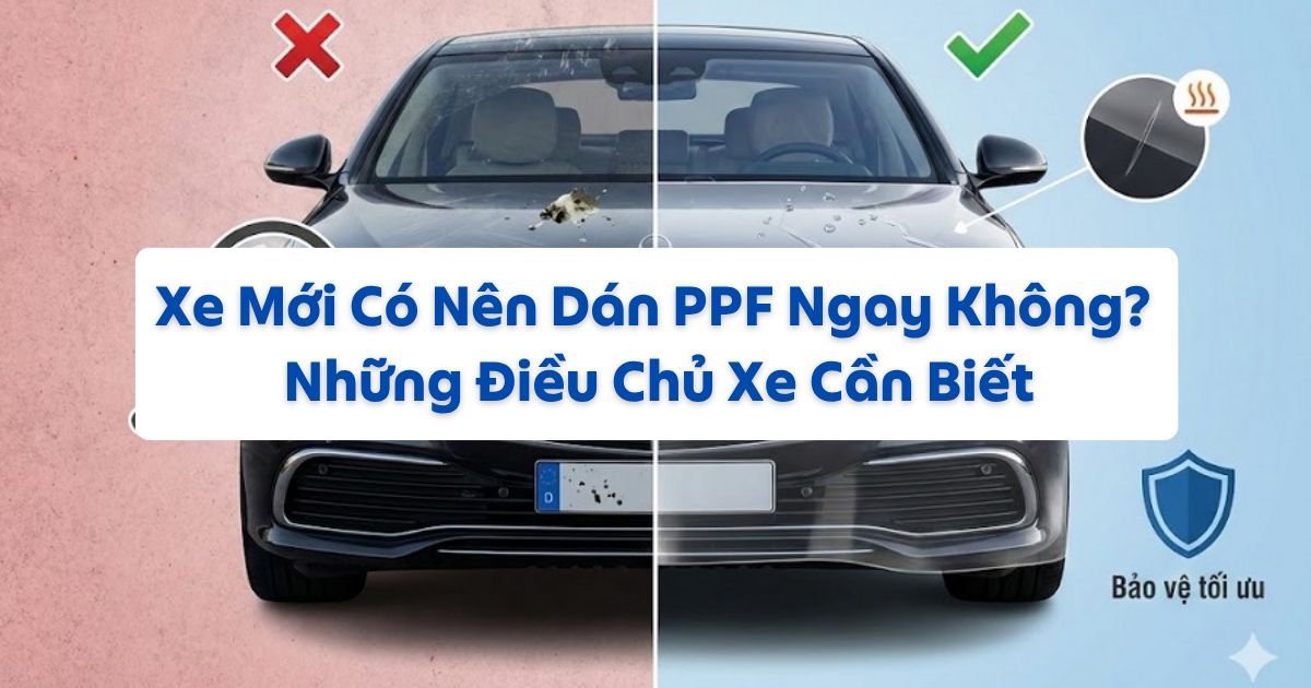 Xe Mới Có Nên Dán PPF Ngay Không? Những Điều Chủ Xe Cần Biết