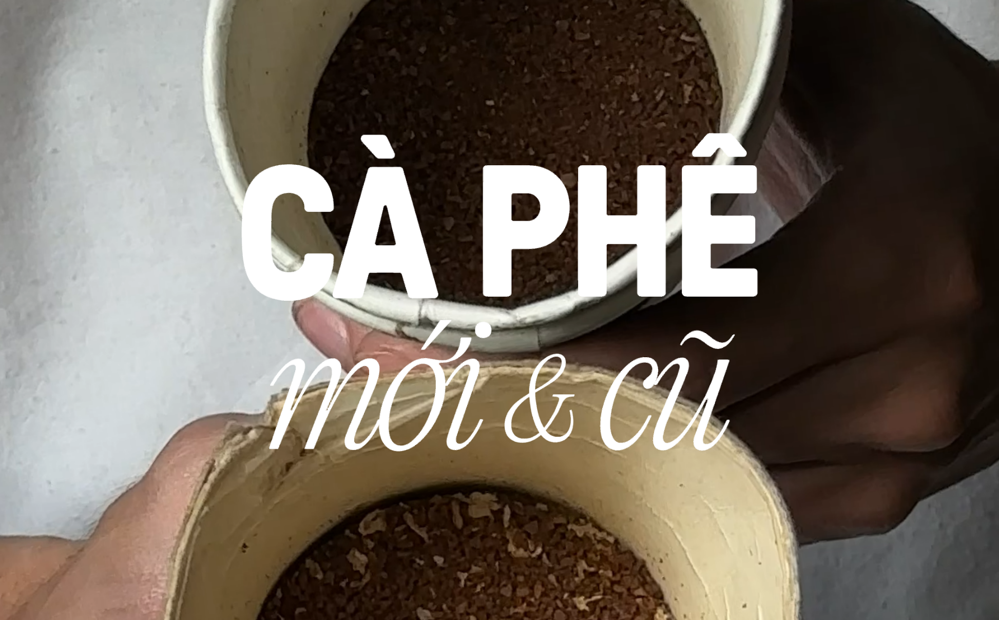 MẸO PHÂN BIỆT CÀ PHÊ MỚI HAY CŨ VỚI PHIN NHỰA PHINƠI!