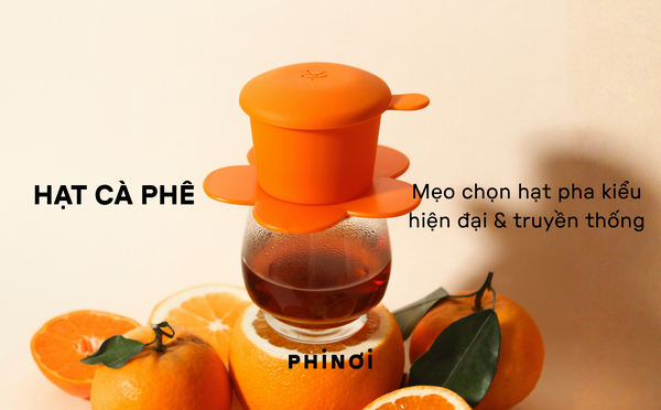 Lần đầu pha Phin: Nên chọn loại hạt cà phê nào?