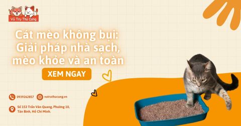 Cát mèo không bụi: Giải pháp nhà sạch, mèo khỏe và an toàn