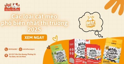 Các loại cát mèo phổ biến nhất thị trường 2025