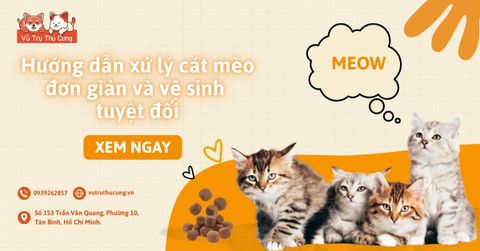 Hướng dẫn xử lý cát mèo đơn giản và vệ sinh tuyệt đối