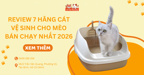 Review 7 hãng cát vệ sinh cho mèo bán chạy nhất 2026