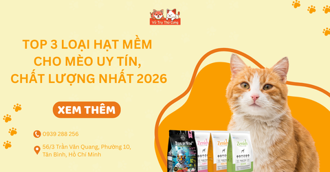 Top 3 loại hạt mềm cho mèo uy tín, chất lượng nhất 2026