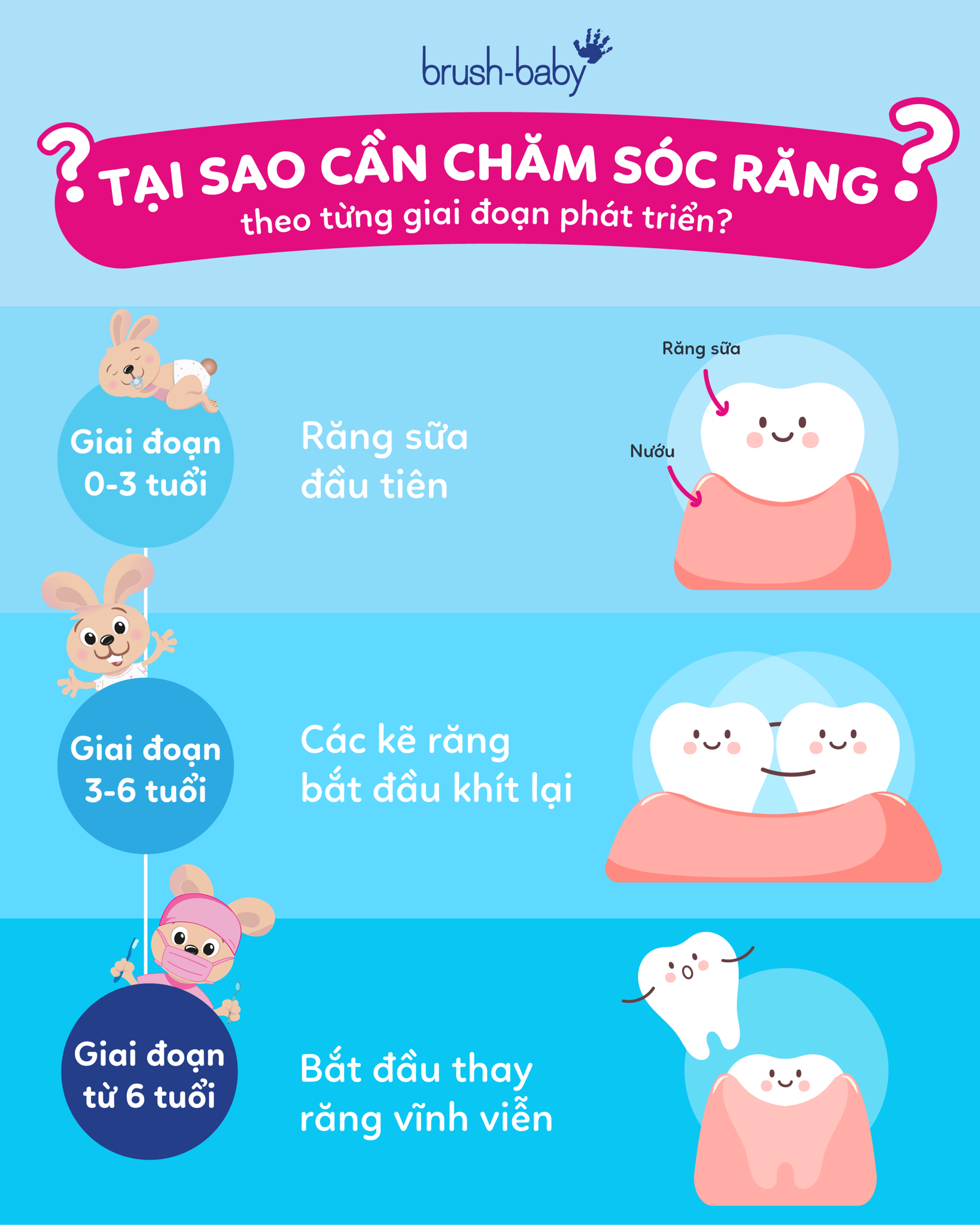 Tại sao cần chăm sóc răng theo từng giai đoạn phát triển?