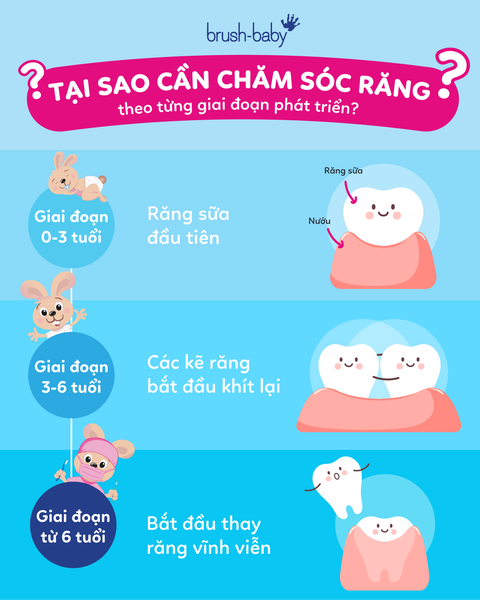 Tại sao cần chăm sóc răng theo từng giai đoạn phát triển?
