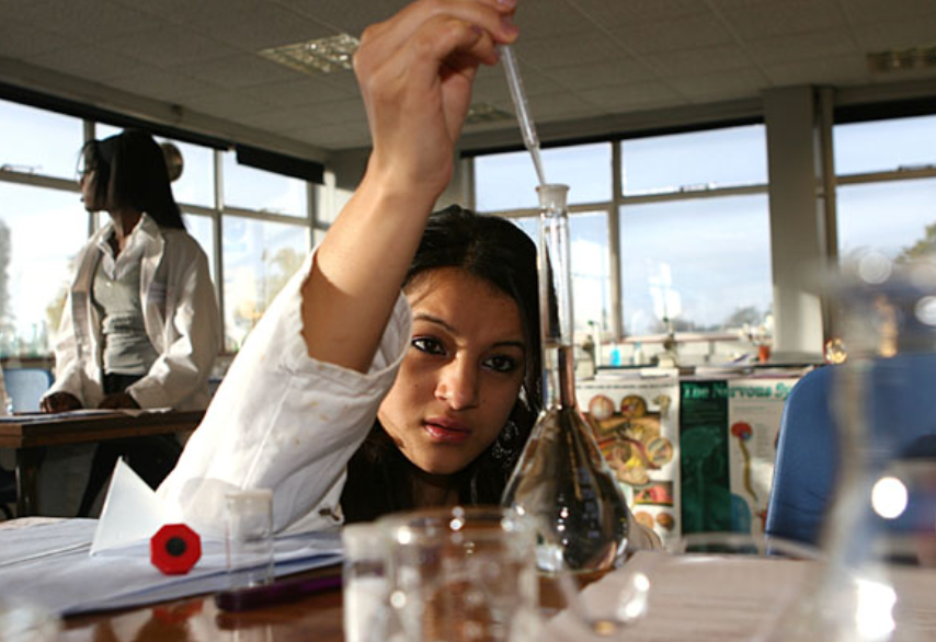 Tác Động Của Nông Nghiệp Hữu Cơ Đến Chất Lượng Đất Trong Trồng Cà Phê: Nghiên Cứu Từ Ấn Độ