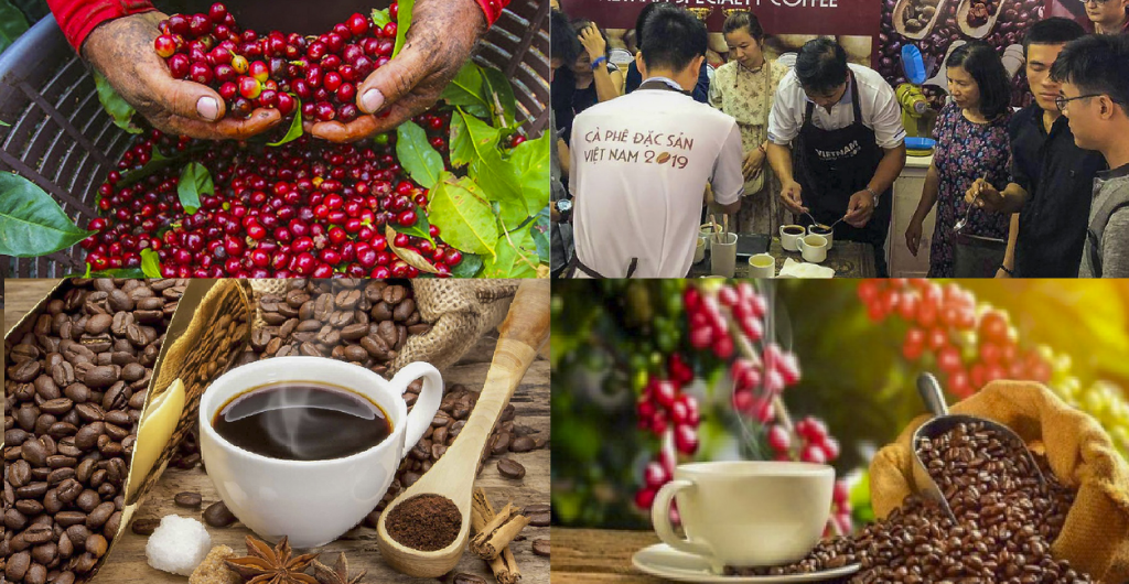 BÁO CÁO CHI TIẾT VỀ DỰ ÁN RECAF: BẢO VỆ RỪNG VÀ TĂNG THU NHẬP NÔNG THÔN TẠI VIỆT NAM