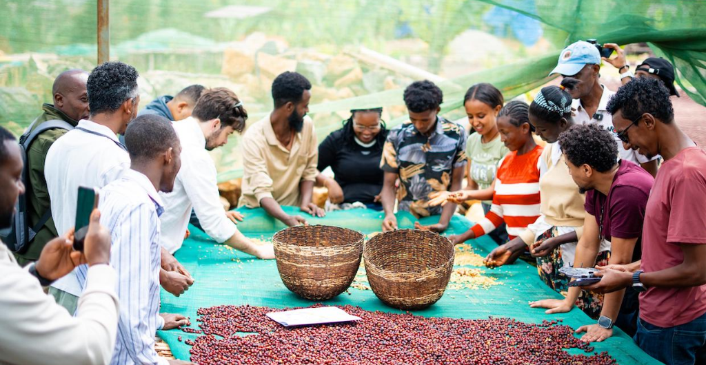 TĂNG CƯỜNG QUỸ CÀ PHÊ TOÀN CẦU NĂM 2026: CQI KÊU GỌI HỖ TRỢ NGÀNH CÀ PHÊ