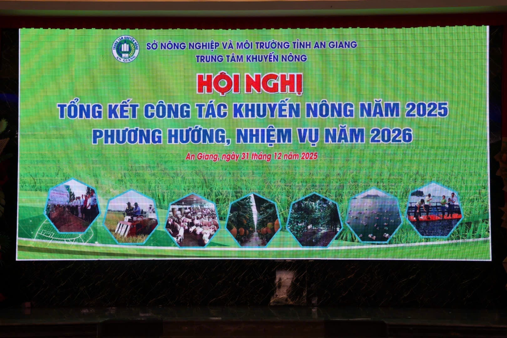 CÔNG TY CỔ PHẦN QUỐC TẾ HẢI DƯƠNG ĐỒNG HÀNH CÙNG KHUYẾN NÔNG AN GIANG