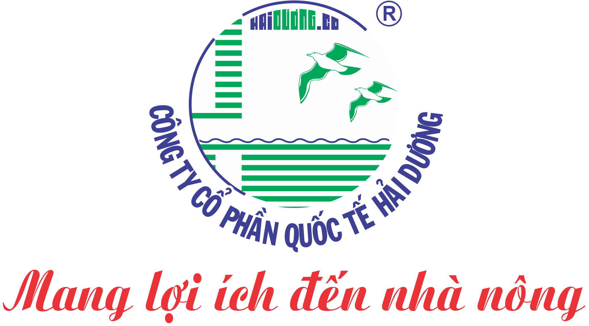 KHỞI ĐỘNG NĂM MỚI – SẴN SÀNG RA QUÂN 23/02/2026