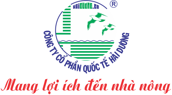 ĐIỂM TIN HOẠT ĐỘNG XÃ HỘI