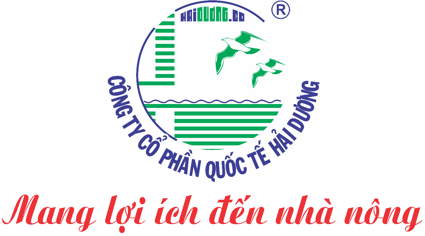 CHÚC MỪNG NGÀY QUỐC TẾ PHỤ NỮ 8/3