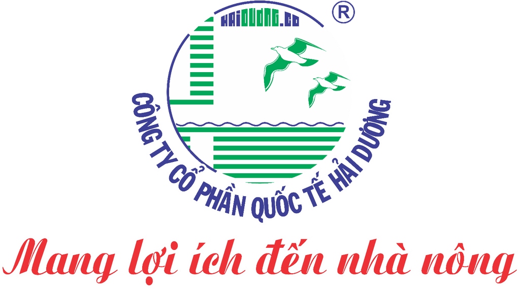 CHÚC MỪNG NGÀY QUỐC TẾ PHỤ NỮ 8/3