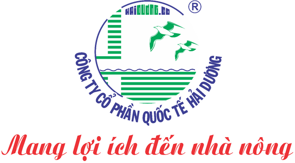 CHÚC MỪNG NGÀY QUỐC TẾ PHỤ NỮ 8/3