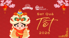 Quà Tết 2026 - Chọn gì từ Dalagift?